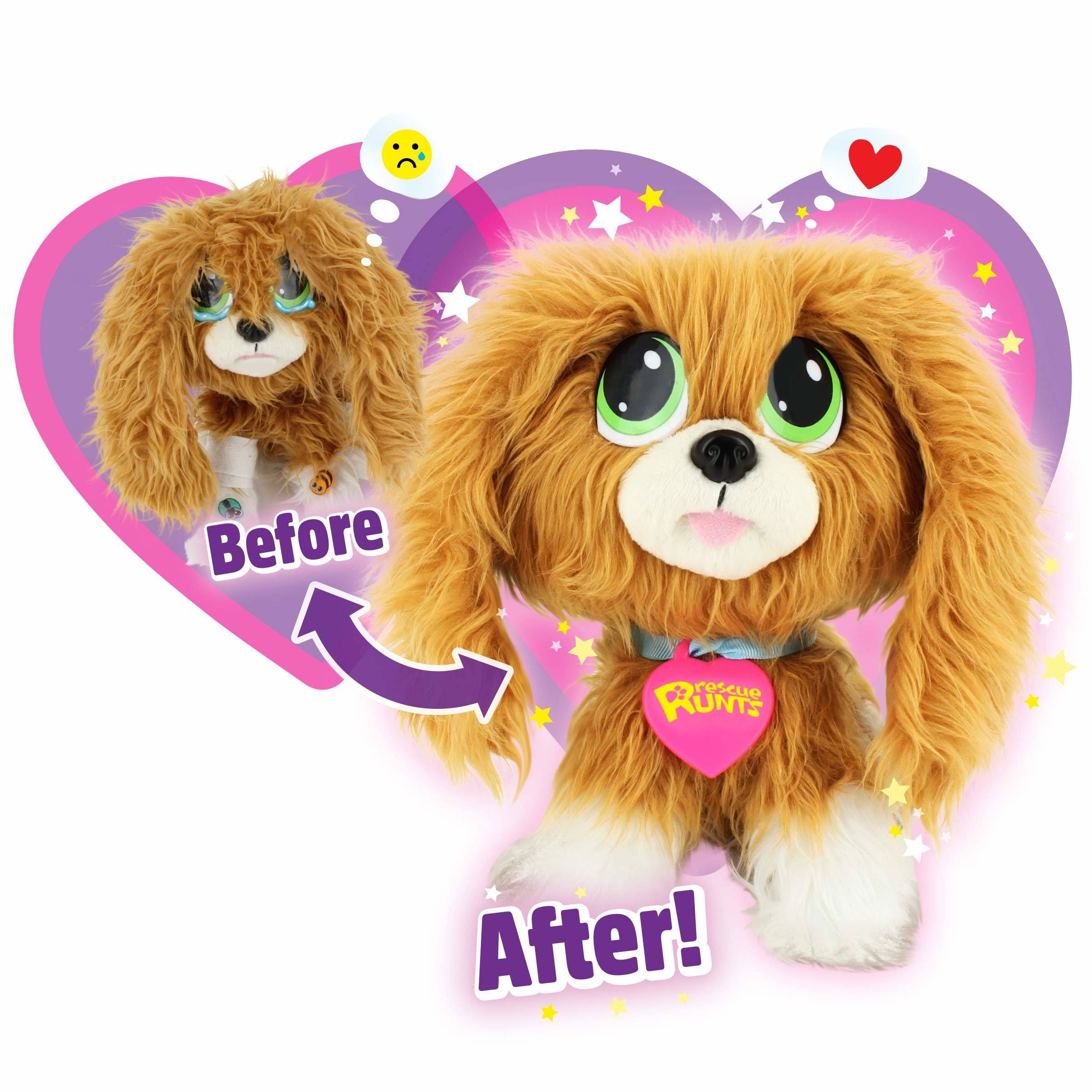 Rescue Runts - Spaniel