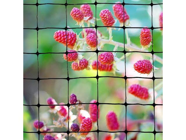 Bird-X NET-STD-100-14 Standard Bird Net, 100 x 14 ft