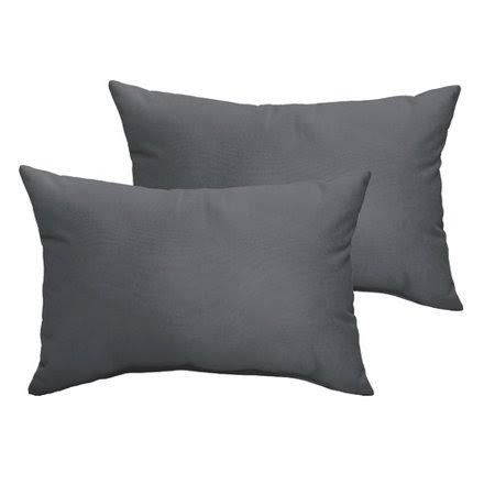Outdoor Rectangular Pillow Cover & Insert Wrought Studio Color: Charcoal