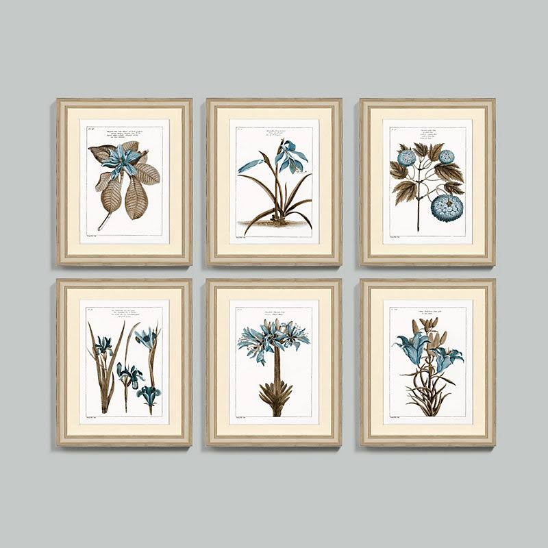 Buchoz Botanical Blue Art 23x22x19x22 - Ballard Designs
