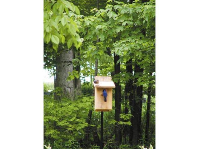 Birds Choice BBULT Ultimate Bluebird House