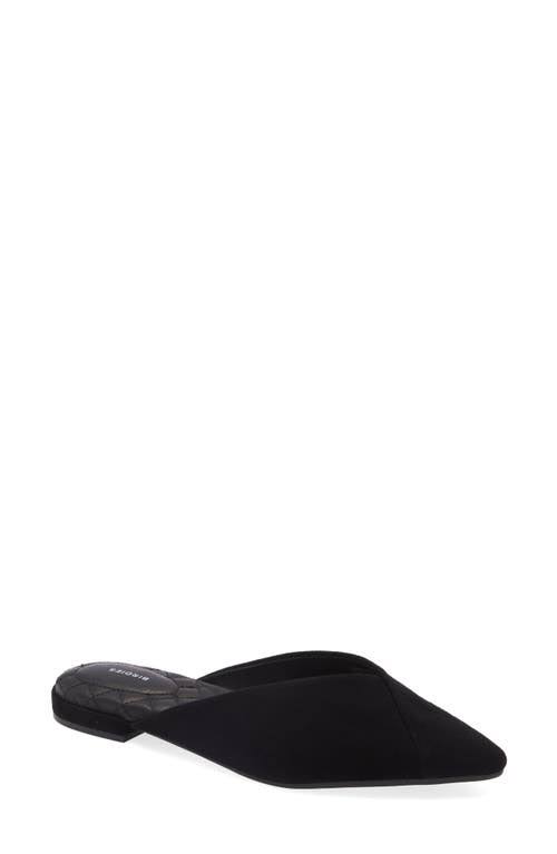 Birdies Swan Mule, Size 7 in Black at Nordstrom