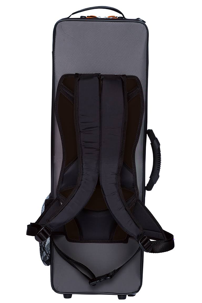 BAM Peak Performance Oblong Violin Case