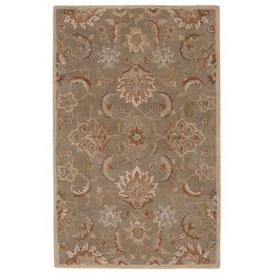 Idina Floral Handmade Tufted Wool Gray/Beige Area Rug Birch Lane Rug Size: Rectangle 8& x 10&