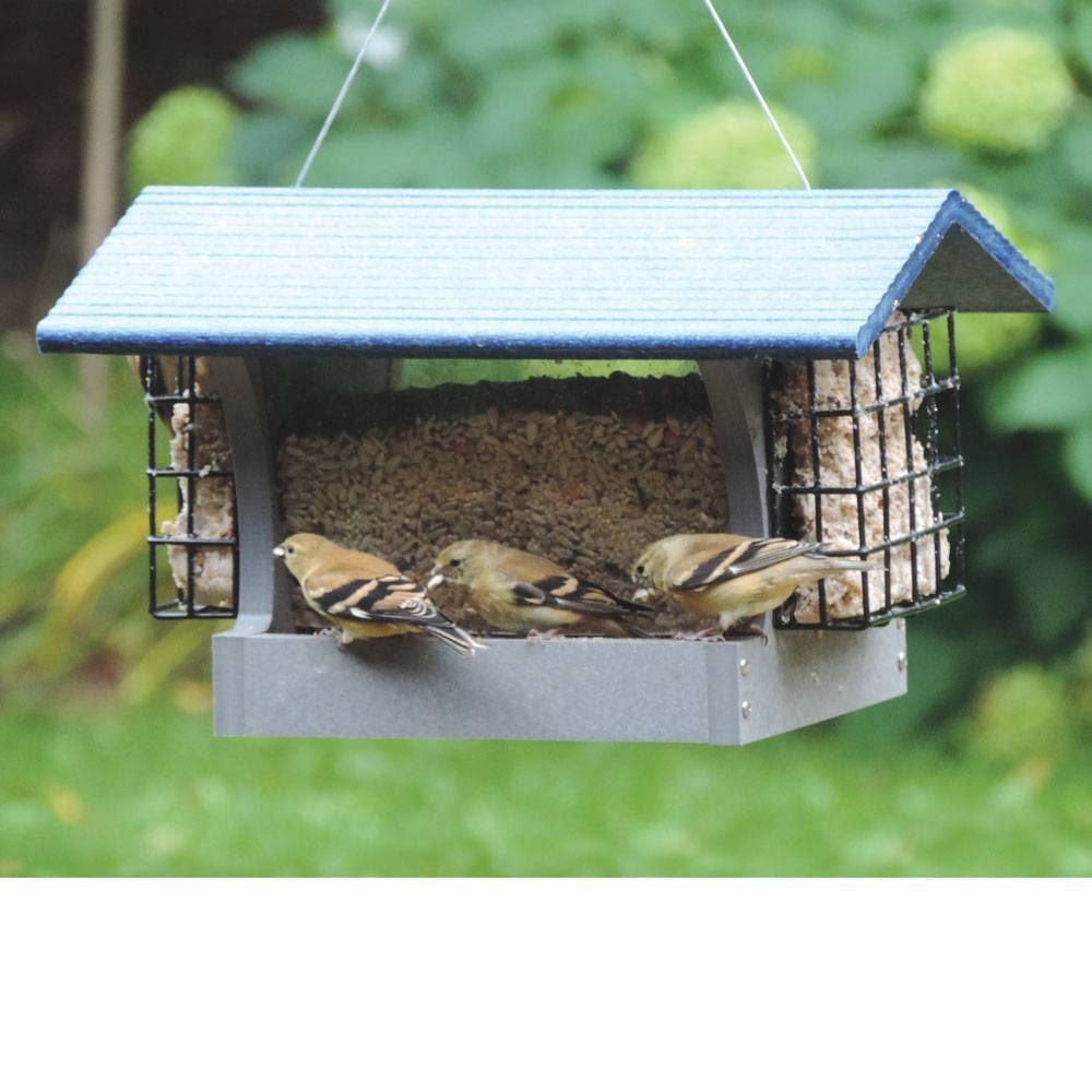 Birds Choice Solutions Recycled Hopper Bird Feeder, Blue