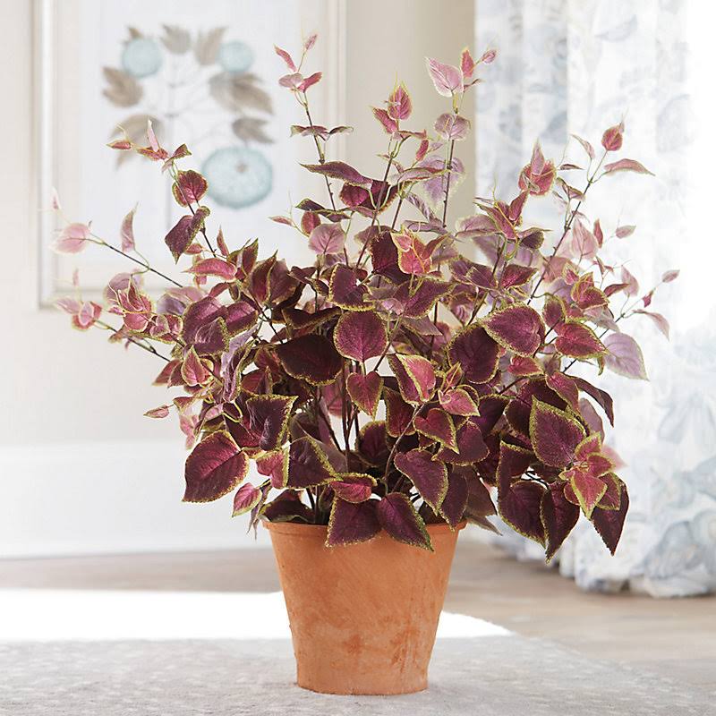 Faux Coleus Potted Plant - Ballard Designs
