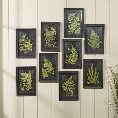 Fern Botanical - 9 Piece Picture Frame Graphic Art Print Set on Paper