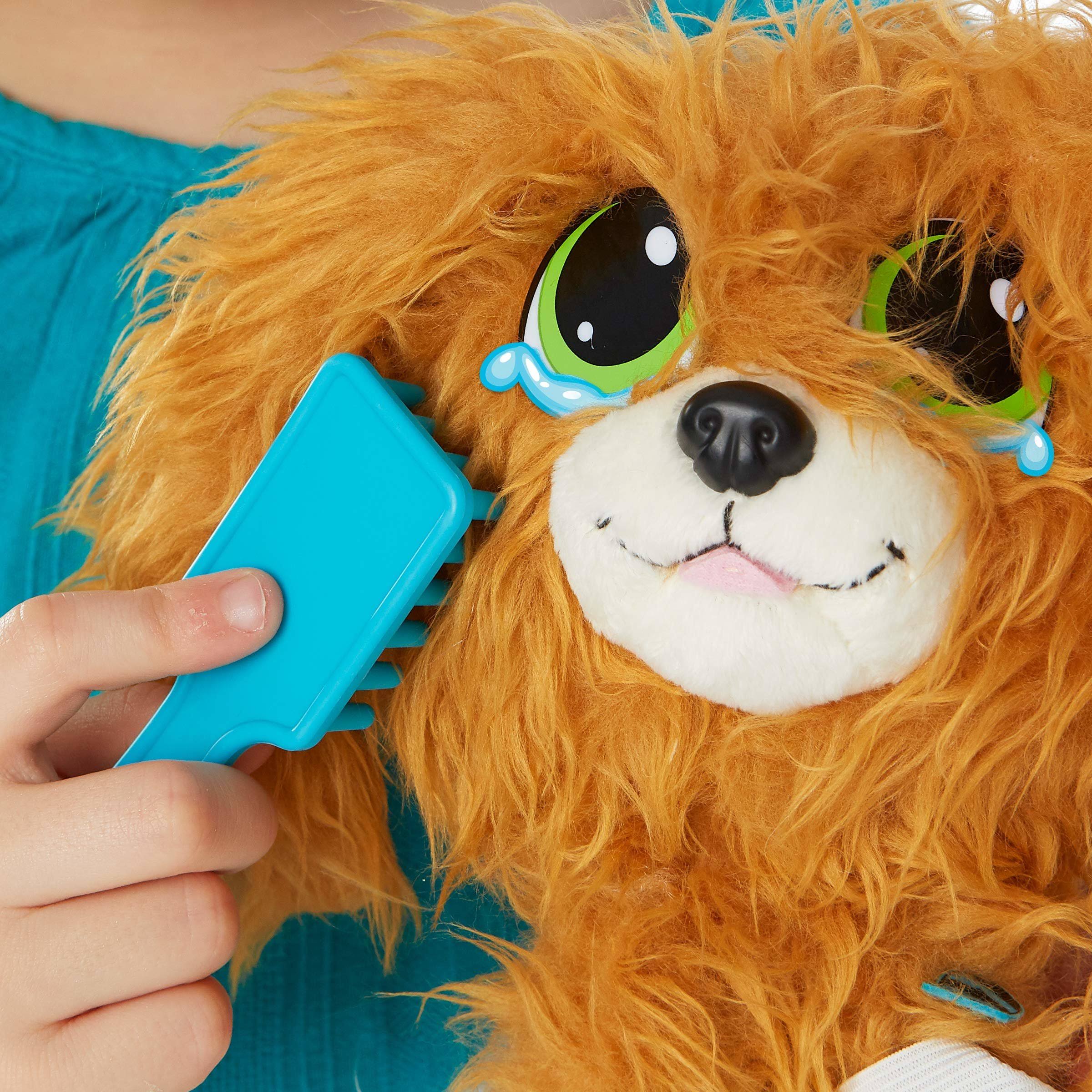 Rescue Runts - Spaniel