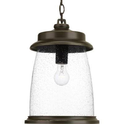 Lemaire 1 - Bulb 15.5x22 H Outdoor Hanging Lantern Color: Antique Bronze