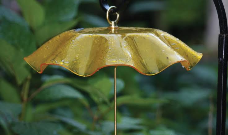 Birds Choice Weather Guard, Yellow