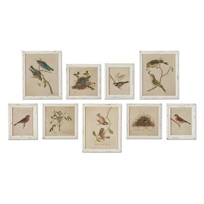One Allium Way Aviary Bird & Nest Habitat 9 Piece Framed Graphic Art Set