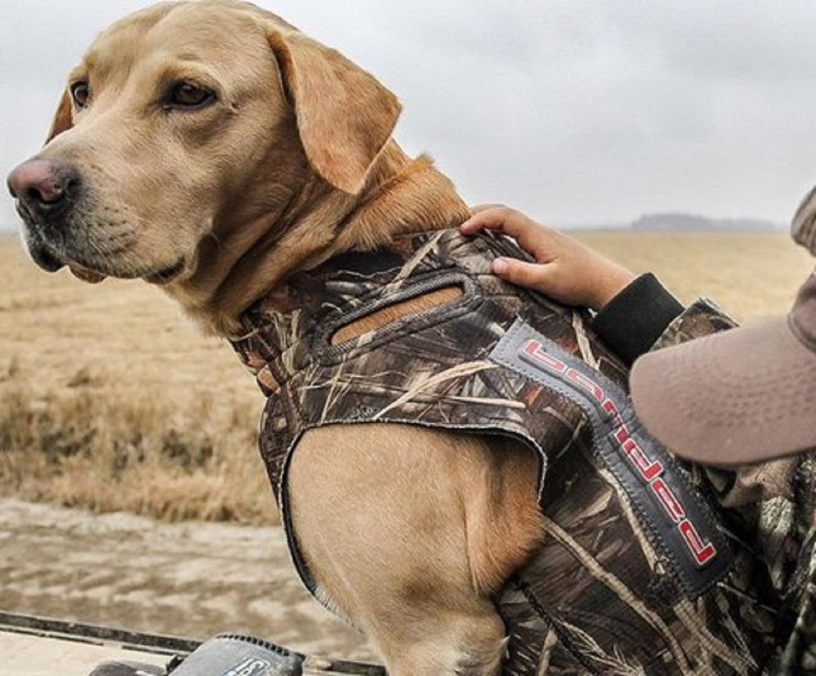 Banded 5mm Dog Parka, Realtree Max 5