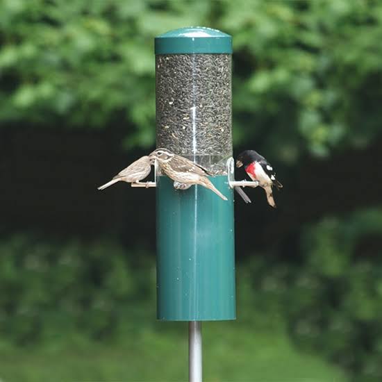 Birds Choice Classic Bird Feeder with Squirrel Baffle and Pole