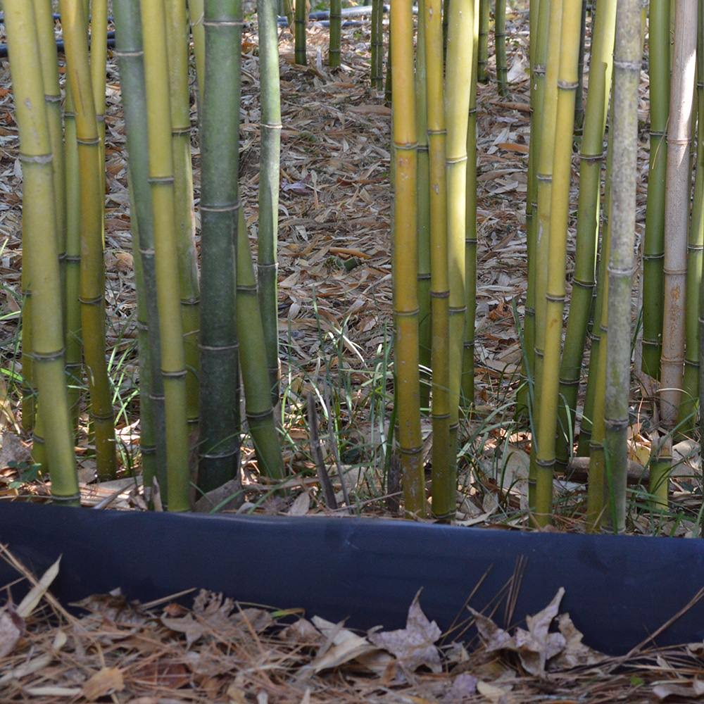 Bamboo Shield - 175 Feet Long x 24 inch x 60 Mil - Bamboo Root Barrier/Water Barrier