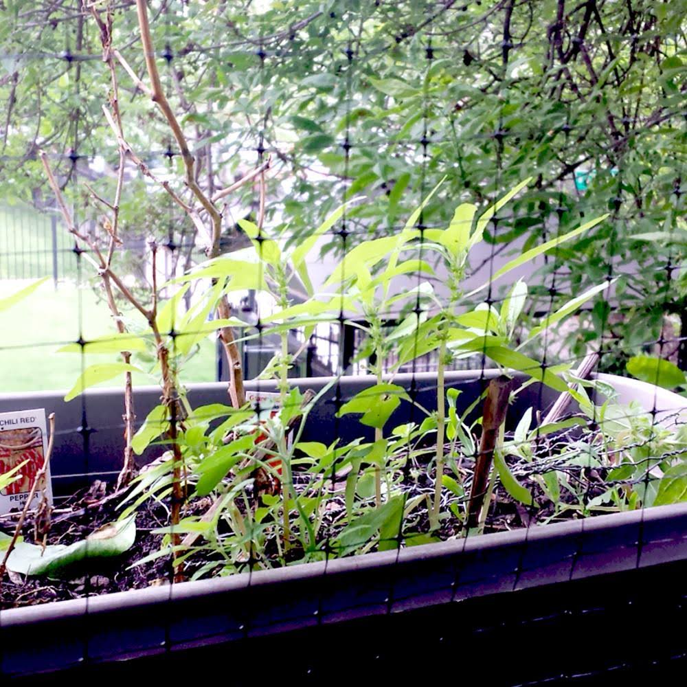 Bird-X Standard BirdNet 3/4x22 Mesh - 200&x14&