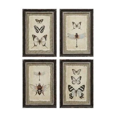 Vintage Insect Prints - 4 Piece Picture Frame Print Set on Wood
