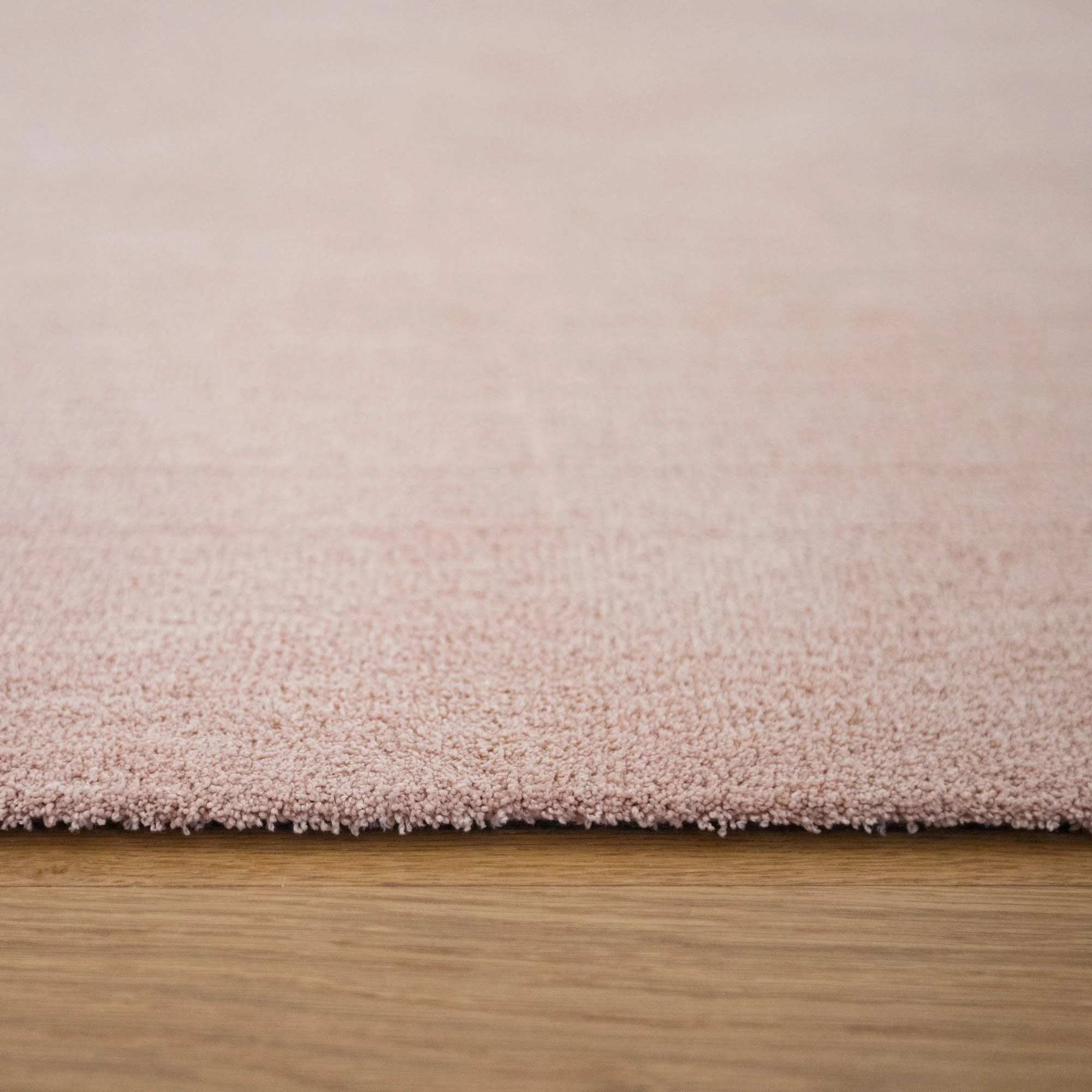 Elsie Solid Color Shag Sage Area Rug - 3&11x22 x 5&7x22 - Beige