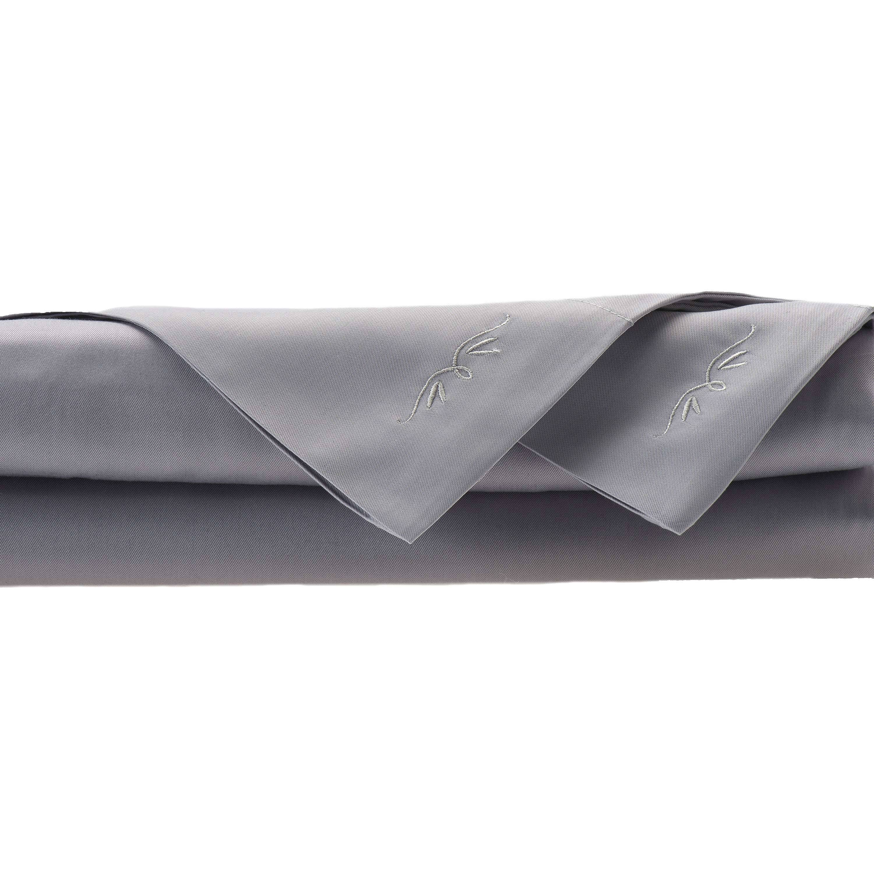 BedVoyage Bamboo Rayon Sheet Set - Queen - Platinum