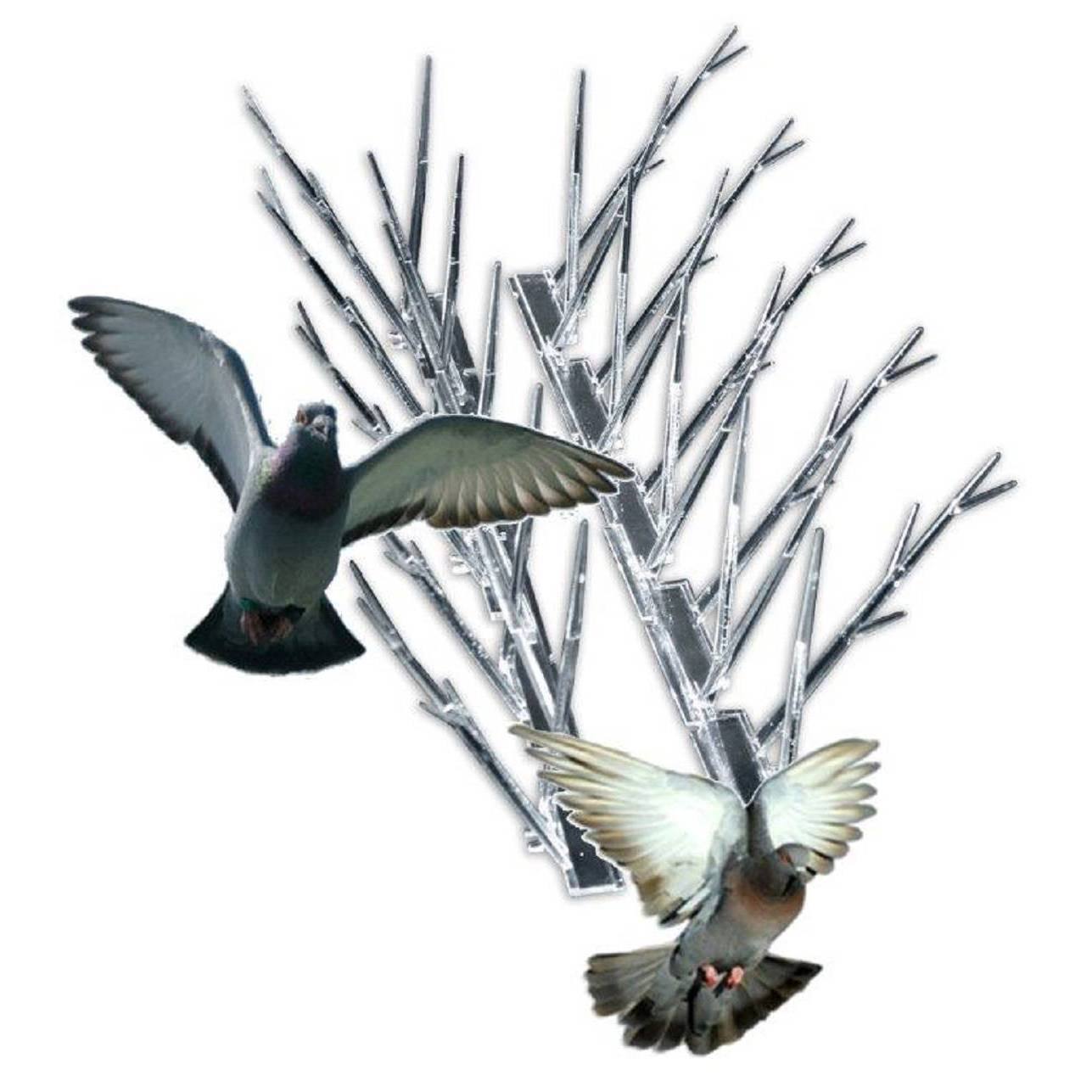 Bird-X 25& Plastic Bird Spikes