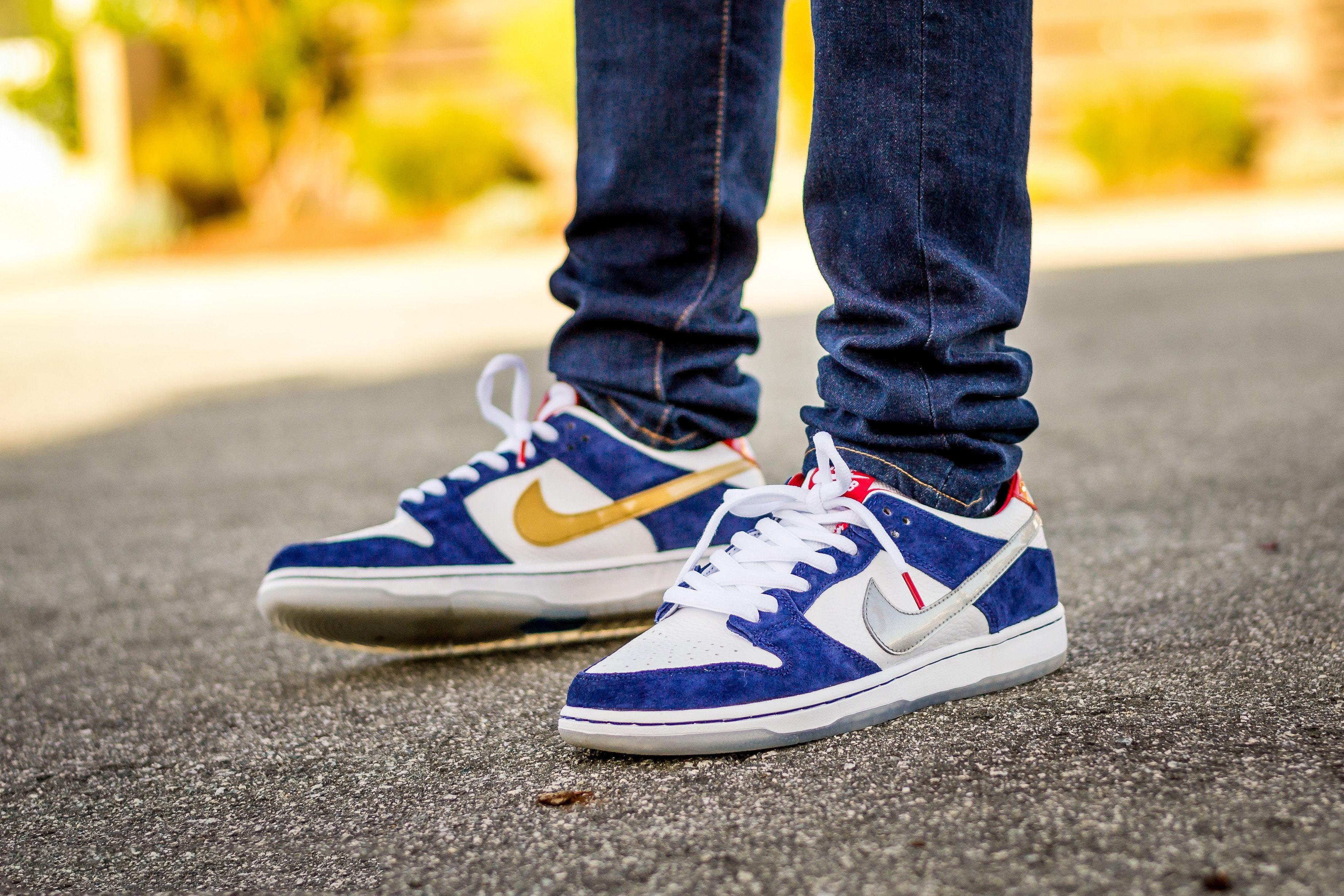 Nike Dunk SB Low Ishod Wair BMW