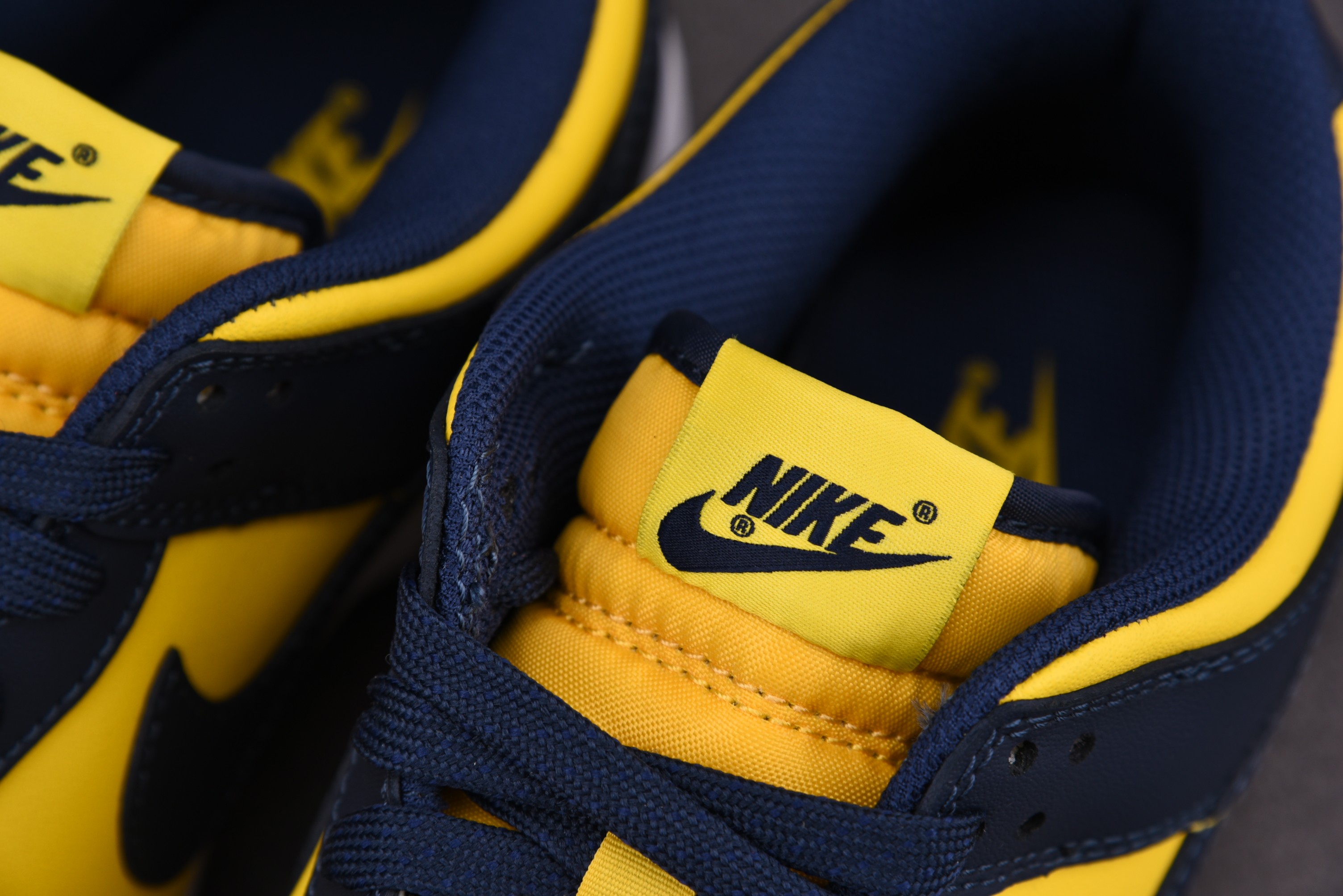 Nike Dunk Low Michigan (2021)