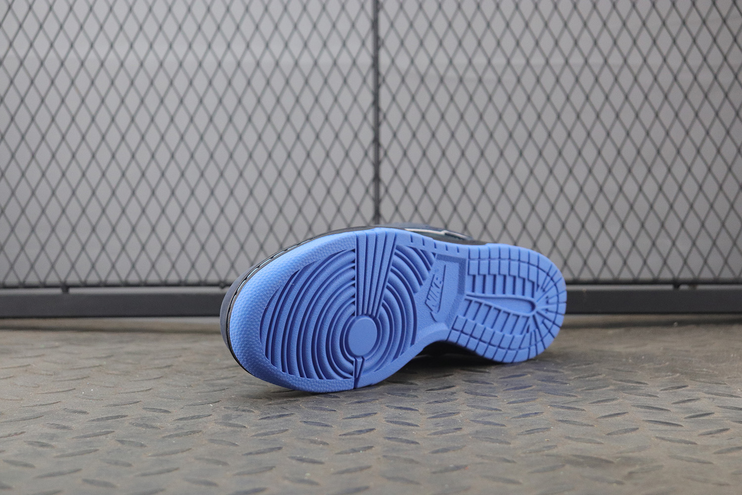 Nike Dunk SB Low Blue Lobster