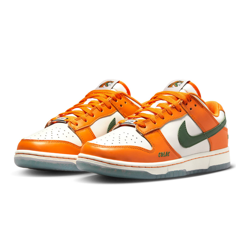 Nike Dunk Low Florida A&M University