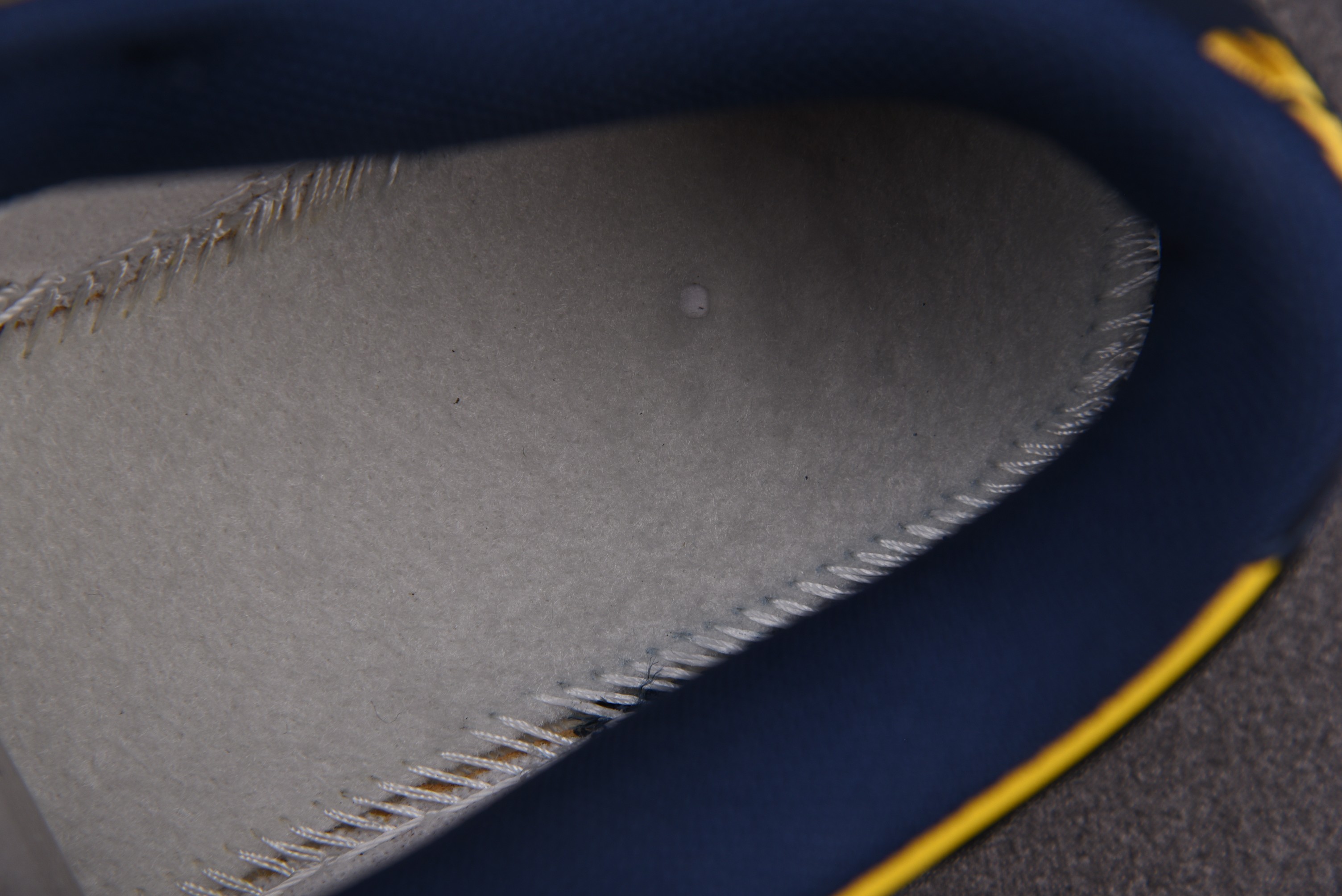 Nike Dunk Low Michigan (2021)