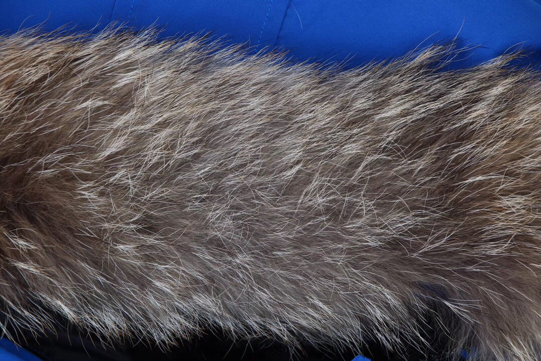 01 Canada Goose Chilliwack 7999M Blue