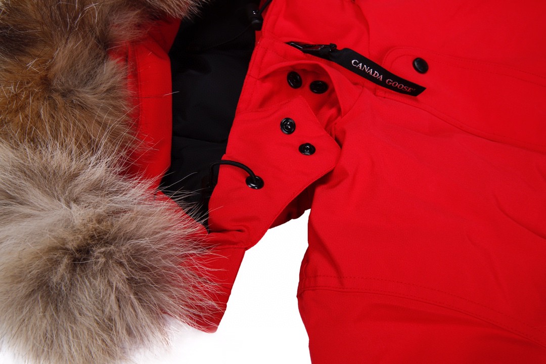 07 Canada Gooxx Red Female