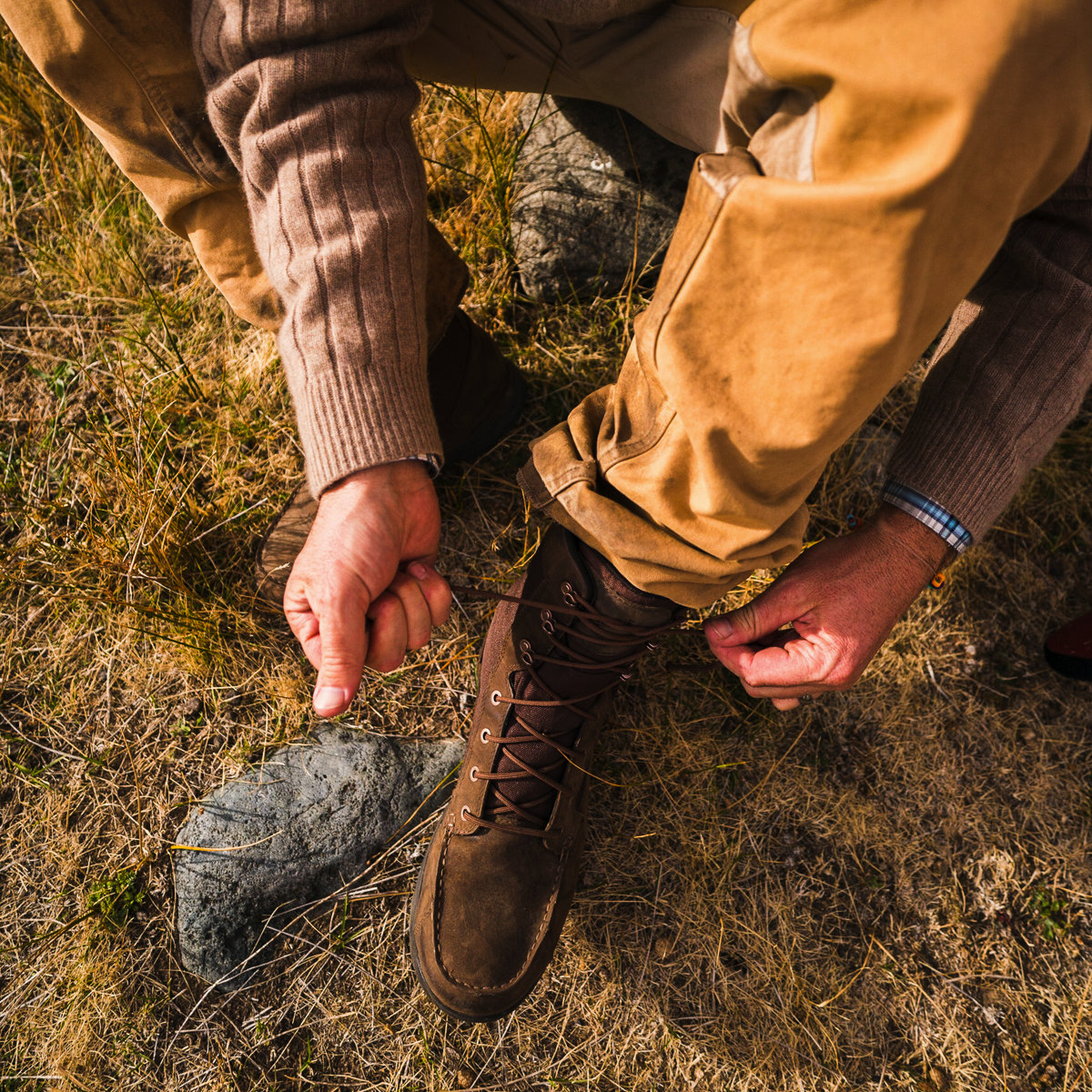 Sharptail