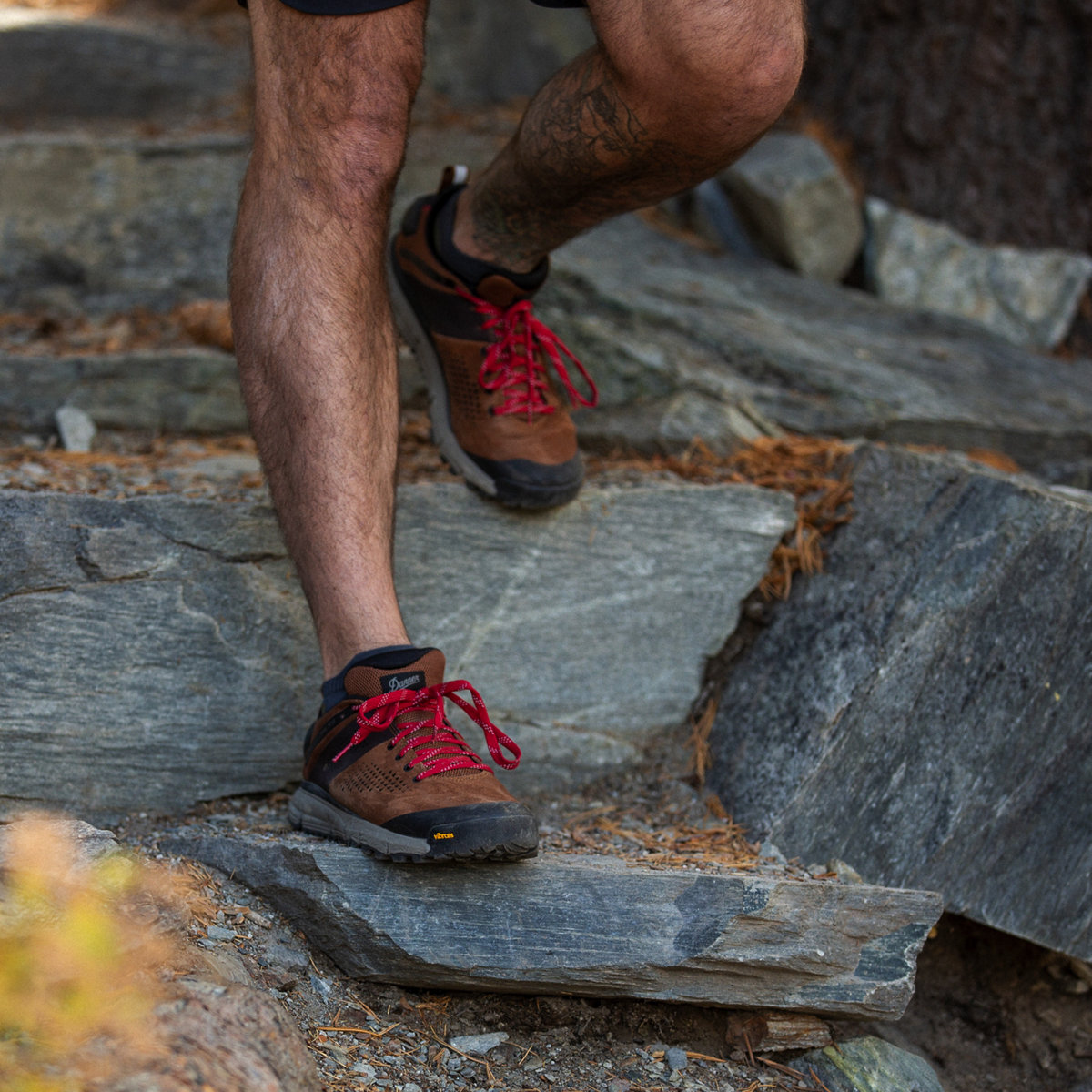 Trail 2650