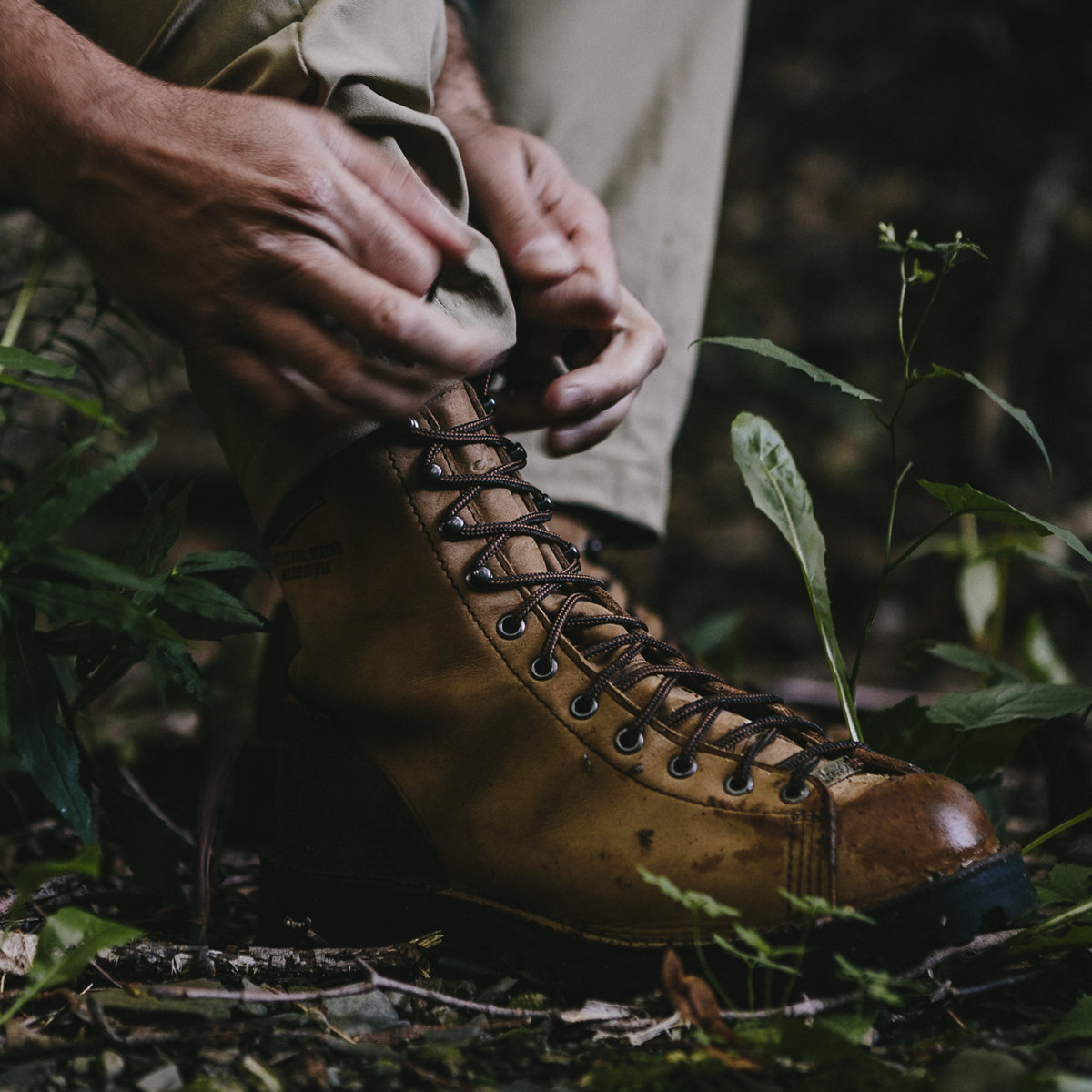 Elk Hunter