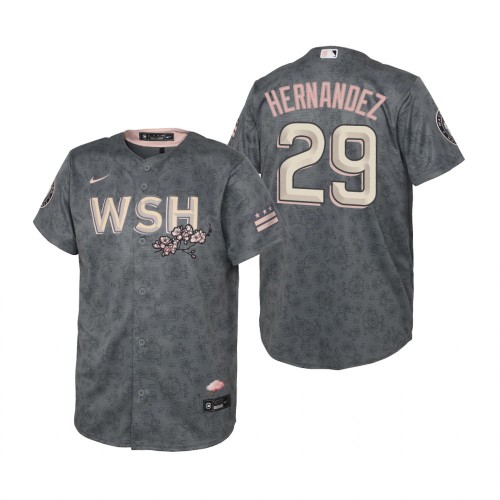 Washington Washington Nationals #29 Yadiel Hernandez Youth Gray 2022 City Connect Replica Jersey Youth
