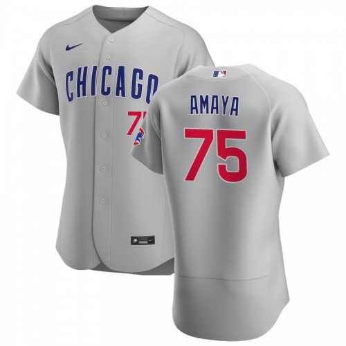 Chicago Chicago Cubs #75 Miguel Amaya Men's Gray Road 2020 Authentic Team Jersey Men's