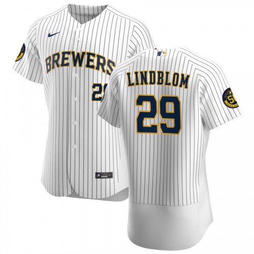 Milwaukee Milwaukee Brewers #29 Josh Lindblom Men's White Home 2020 Authentic Player Jersey Men's