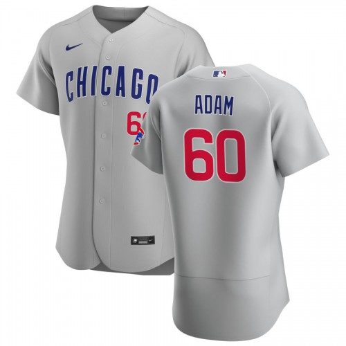 Chicago Chicago Cubs #60 Jason Adam Men's Gray Road 2020 Authentic Team Jersey Men's