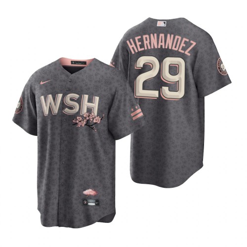 Washington Washington Nationals #29 Yadiel Hernandez Men's Gray Game 2022 City Connect Replica Jersey Men's