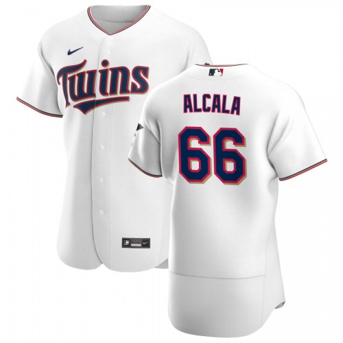 Minnesota Minnesota Twins #66 Jorge Alcala Men's White Home 2020 Authentic Player Jersey Men's
