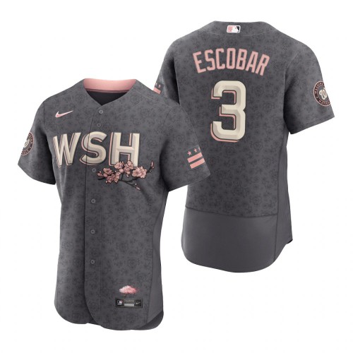 Washington Washington Nationals #3 Alcides Escobar Men's Authentic Gray 2022 City Connect Jersey Men's