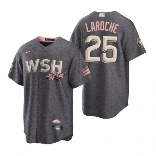 Washington Washington Nationals #25 Adam LaRoche Men's Gray Game 2022 City Connect Replica Jersey Men's