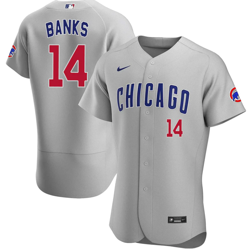 Men's Chicago Chicago Cubs#14 Ernie Banks Gray Road 2020 Authentic Team Jersey