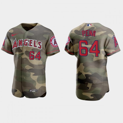 Los Angeles Los Angeles Angels #64 Felix Pena Men's 2021 Armed Forces Day Authentic Jersey -Camo Men's