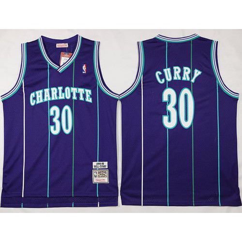 Mitchell And Ness Charlotte Hornets #30 Dell Curry Purple Throwback Stitched Jersey Mens